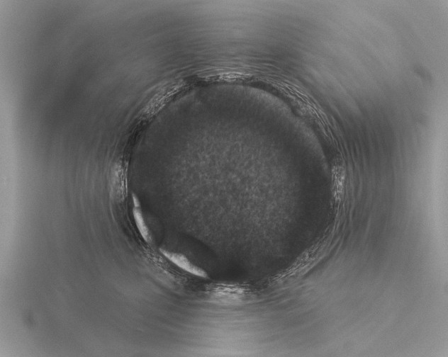 X0000115290471200912141059