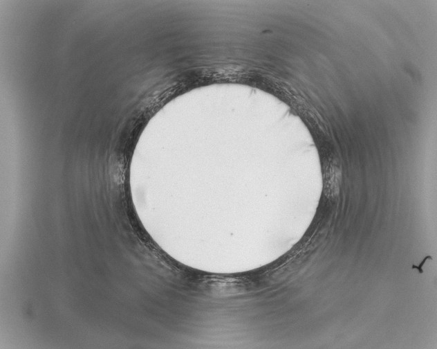 X0000115290472200912141059