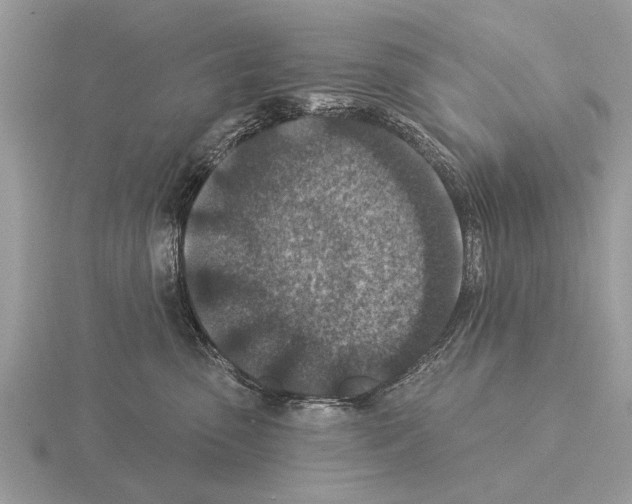 X0000115290475200912141059