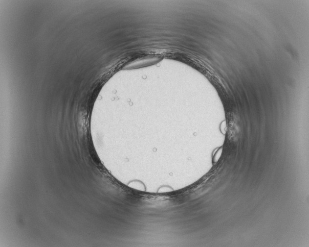 X0000115290476200912141059