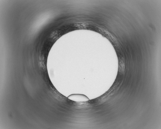 X0000115290477200912141059