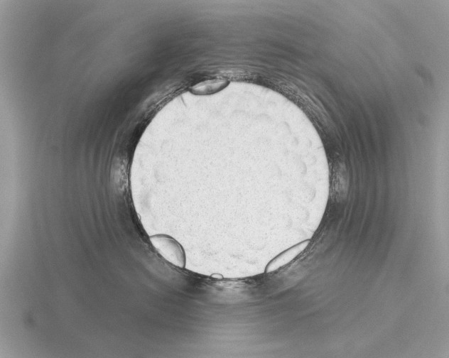 X0000115290478200912141059