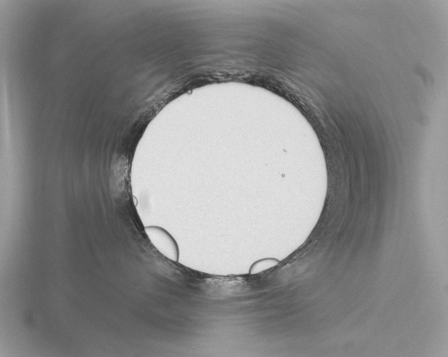 X0000115290480200912141059