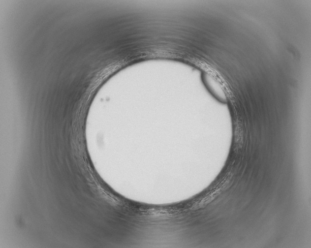 X0000115290481200912141059