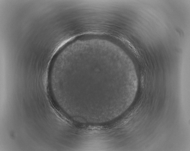 X0000115290484200912141059