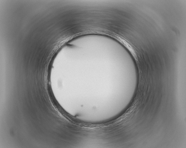 X0000115290485200912141059