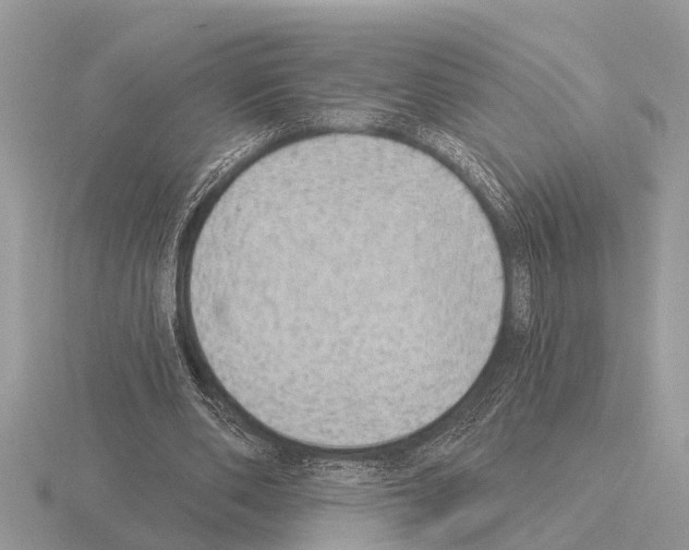 X0000115290486200912141059