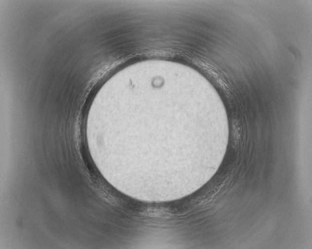 X0000115290487200912141059