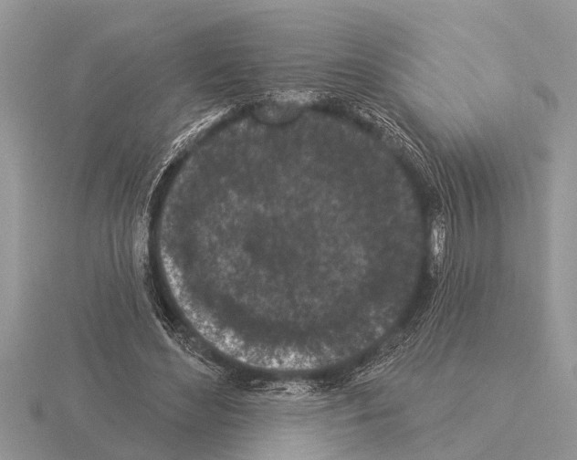 X0000115290492200912141059