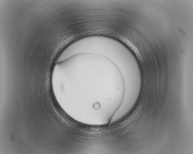 X0000115290493200912141058