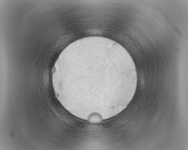 X0000115290494200912141058