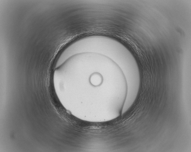 X0000115290496200912141058