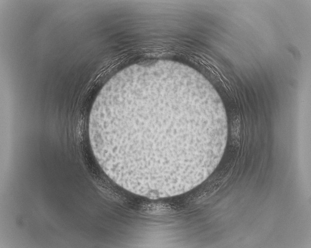 X0000115290503200912141058