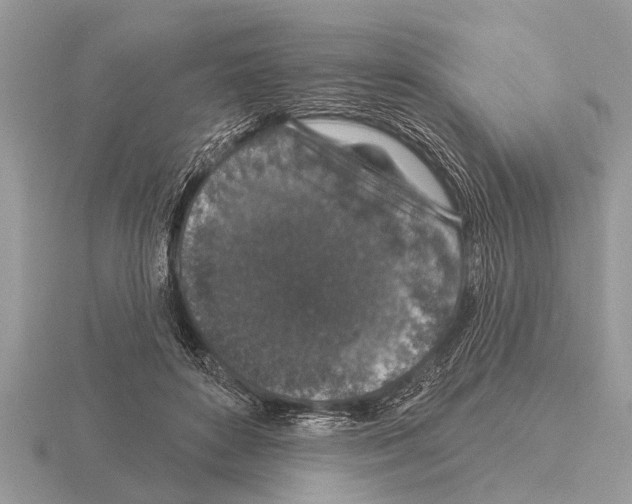 X0000115290504200912141058