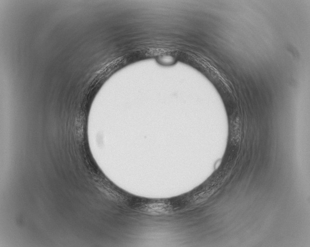 X0000115290505200912141058