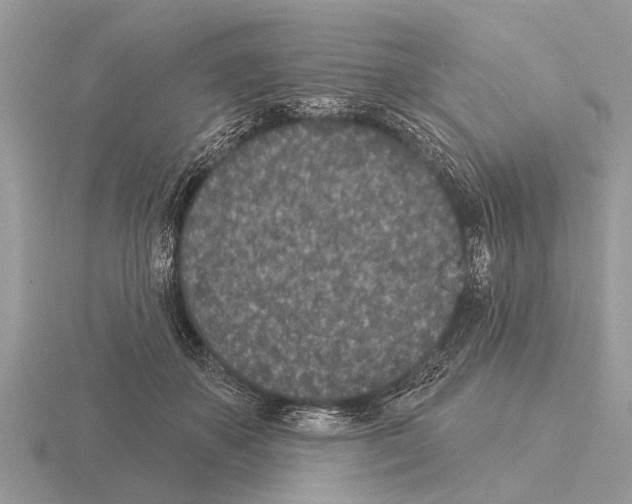 X0000115290507200912141058