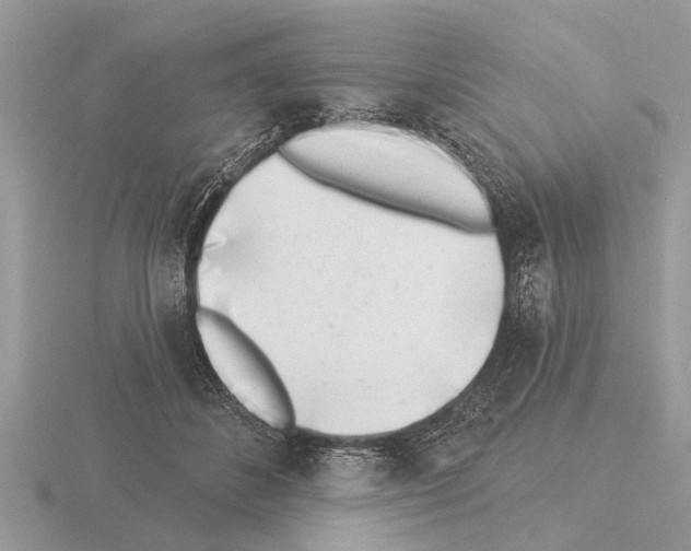 X0000115290508200912141058