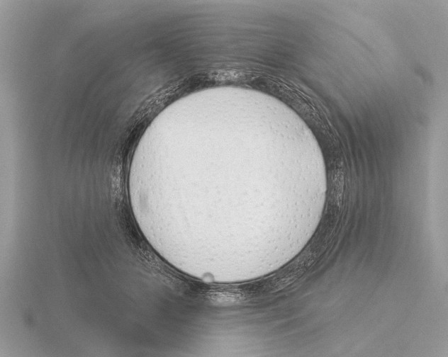 X0000115290510200912141058
