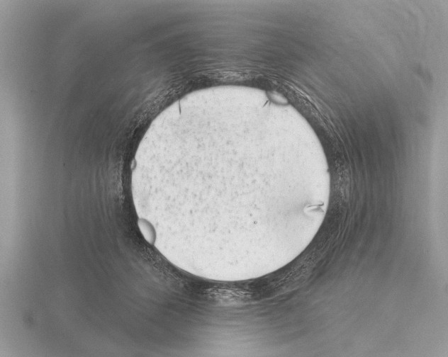 X0000115290512200912141058