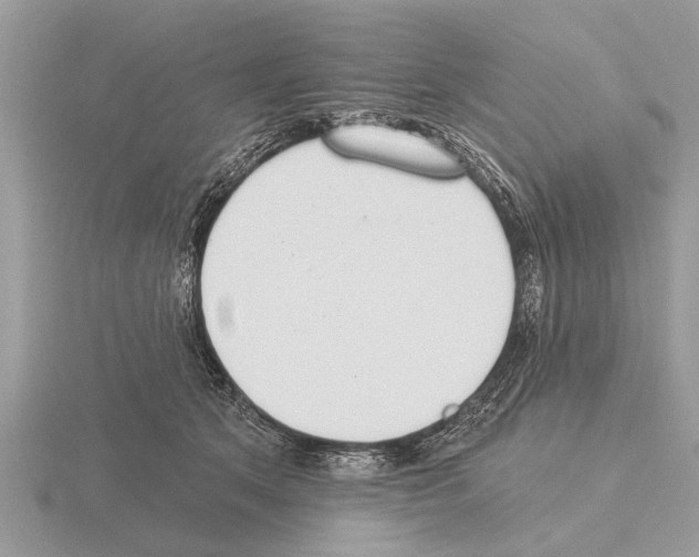 X0000115290513200912141058