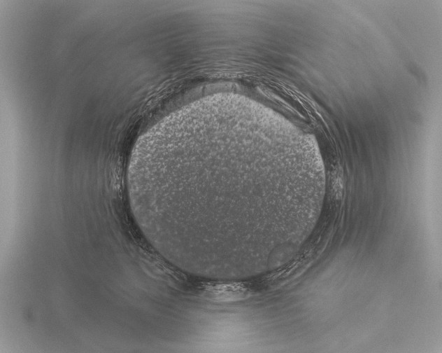 X0000115290517200912141058
