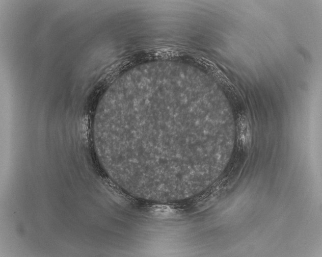 X0000115290519200912141058