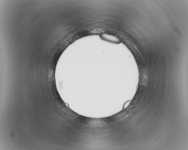 X0000115290521200912141058