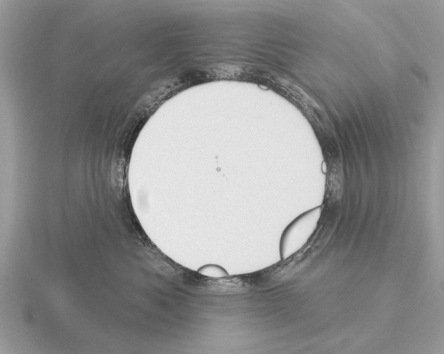 X0000115290525200912141058