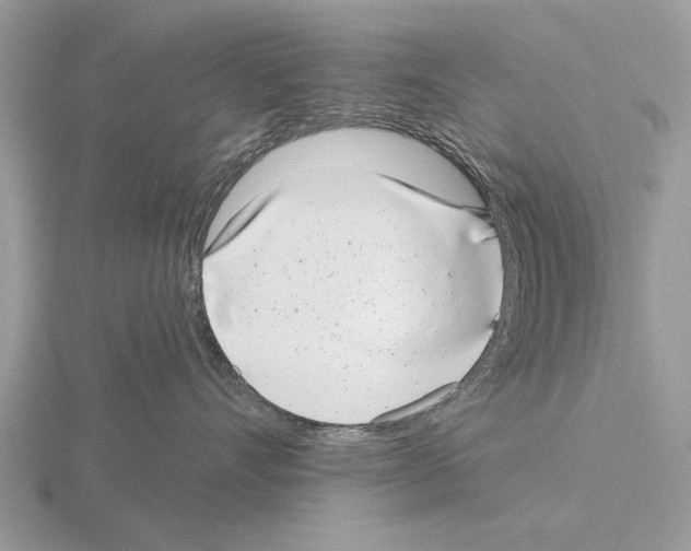 X0000115290528200912141058