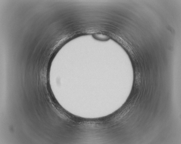 X0000115290530200912141057