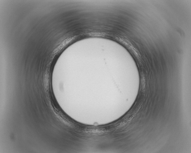 X0000115290533200912141057