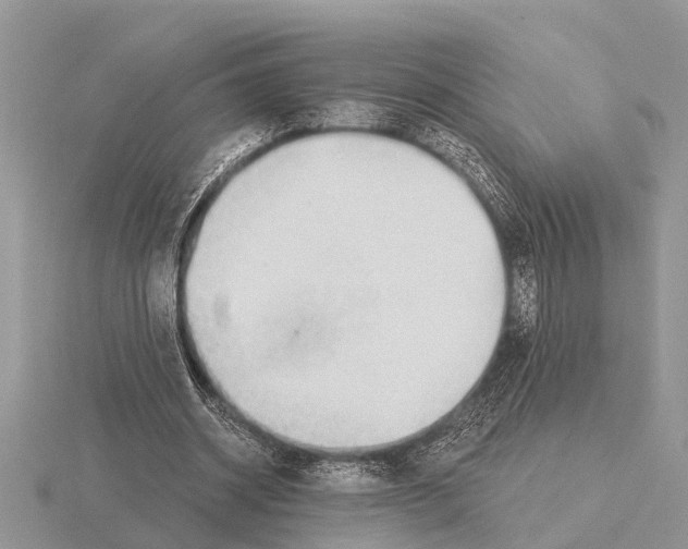 X0000115290534200912141057