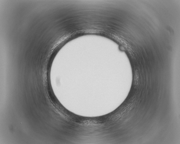 X0000115290535200912141058