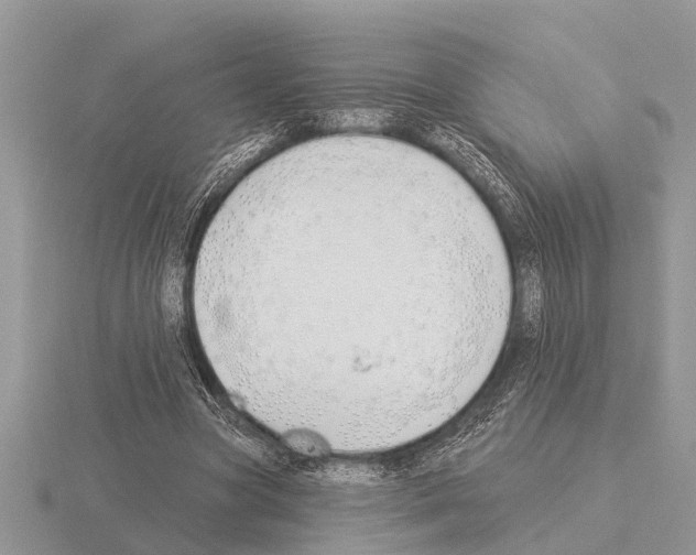 X0000115290537200912141058