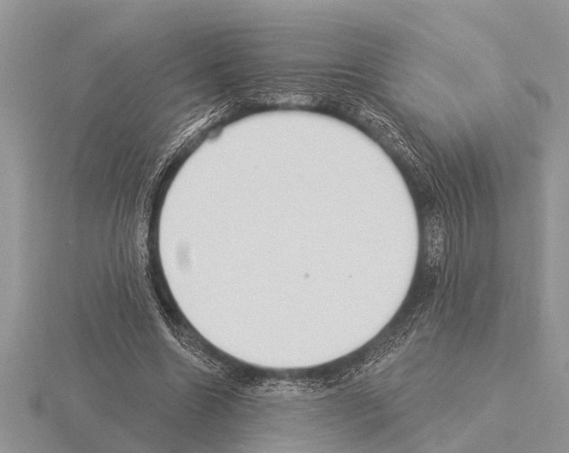 X0000115290538200912141058