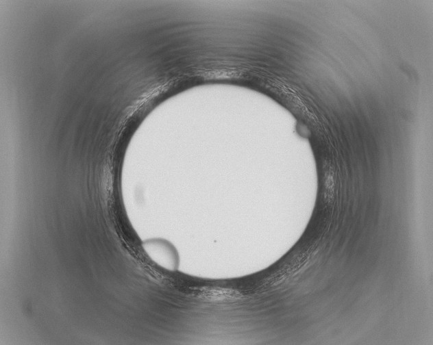 X0000115290539200912141058