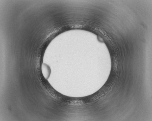 X0000115290543200912141058