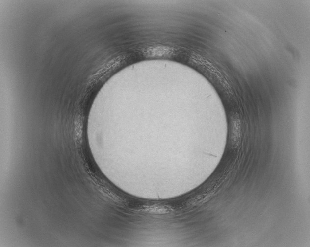 X0000115290545200912141058