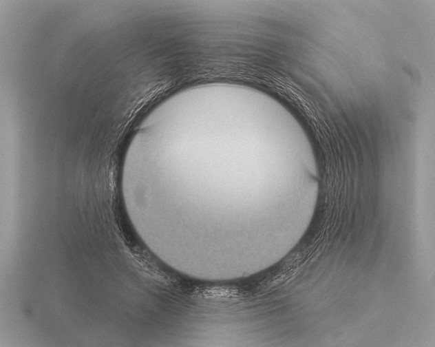 X0000115290546200912141058