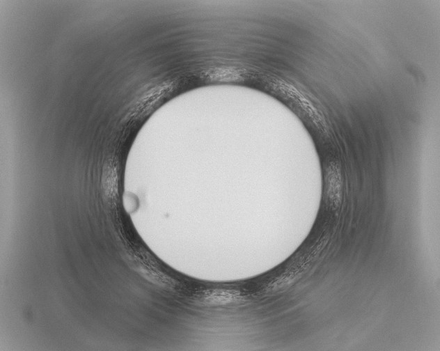 X0000115290549200912141058