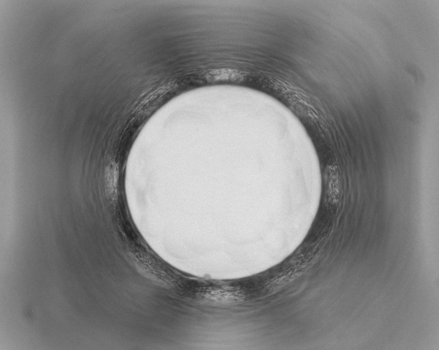 X0000115290550200912141058