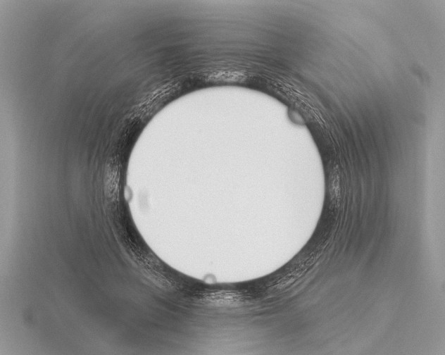 X0000115290551200912141058
