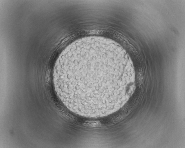 X0000115290554200912141058