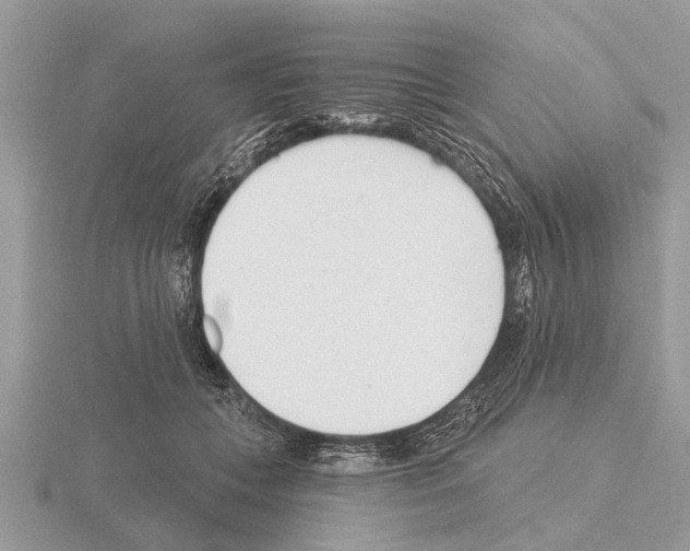 X0000115290559200912141058