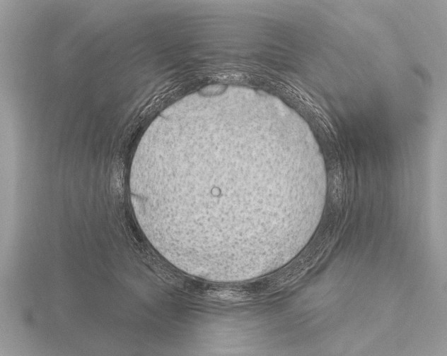 X0000115290561200912141058