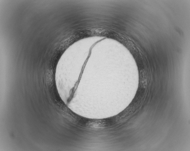 X0000115290563200912141058