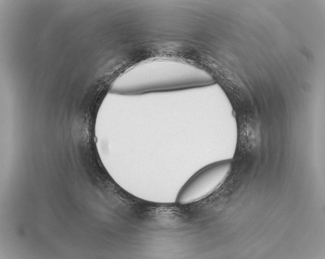 X0000115290566200912141058