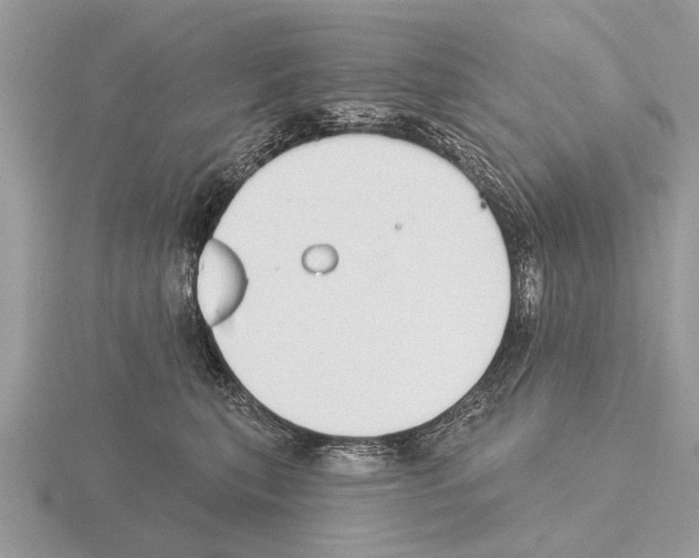 X0000115290567200912141058