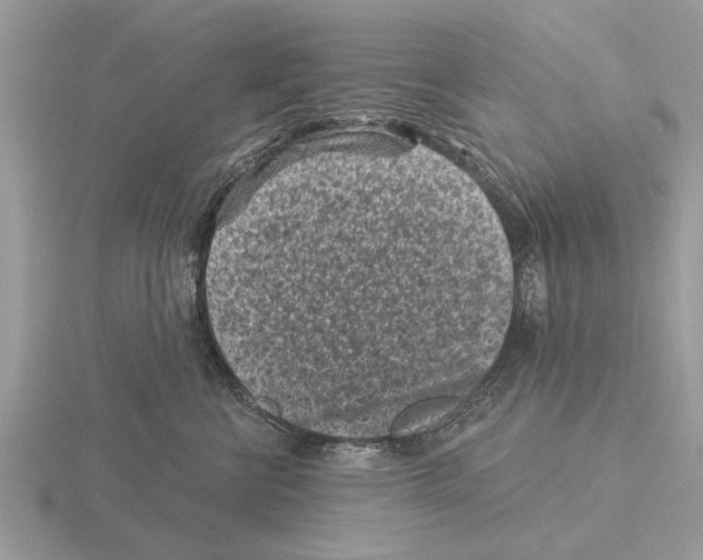 X0000115290570200912141058