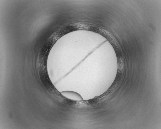 X0000115290573200912141058